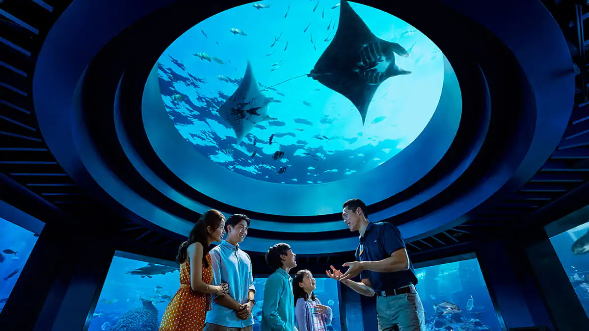 Singapore Oceanarium Sentosa: Petualangan Bawah Laut Spektakuler untuk Keluarga, TerbaruTahun 2025